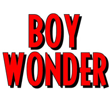 Load image into Gallery viewer, Mego Boxes: BOY WONDER (YOUR CHOICE!)
