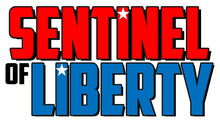 Load image into Gallery viewer, Mego Boxes: SENTINEL OF LIBERTY (YOUR CHOICE!)
